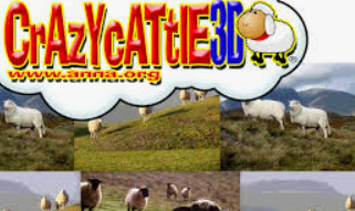 Crazy Cattle 3D